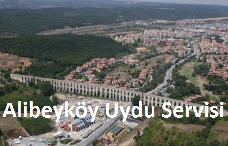 Alibeyköy uydu servisi